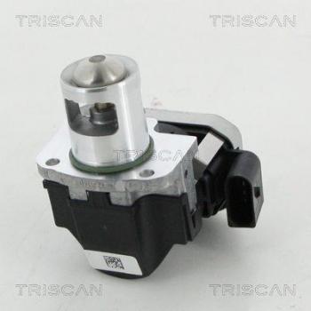 TRISCAN 8813 23026 EGR-Ventil