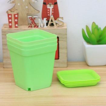 Set 6x Pots Carrés pour Plantes Succulentes