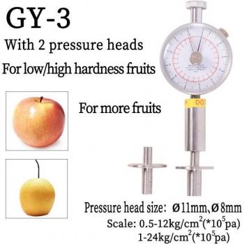 PerlaFrutaTest