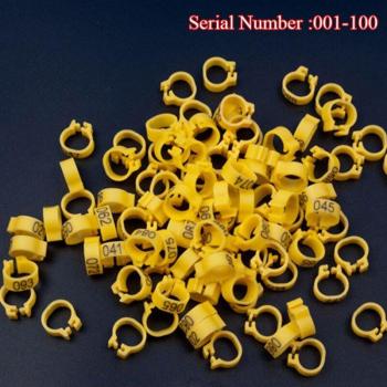 Pet Bird ID Band Kit – 100 Pieces for Doves and Pigeons