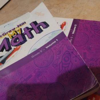 MY MATH SE VOL 1 GR 5