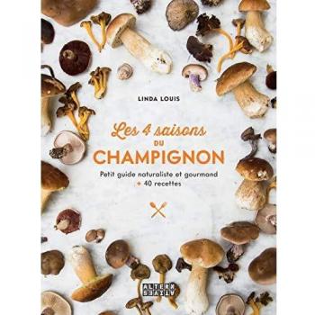 Les 4 saisons du champignon