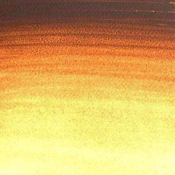 Winsor & Newton Cotman Künstlerfarbe, 1/2 Pfanne, Vandyke Braun