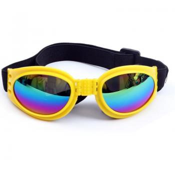 Accesorios de sol para mascotas aventureras