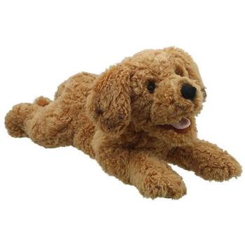 Puppy Playfulness: Cockapoo Edition