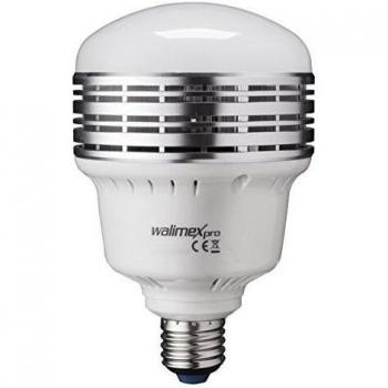 LB-25-L LED Estándar 2500 Lúmenes 5500K