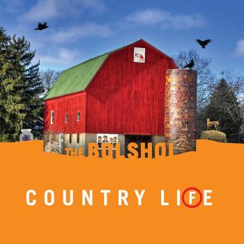Country Life Vinyl – Orange & Grüner Mix