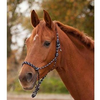 Waldhausen Rope Halter in Dark Blue & Taupe