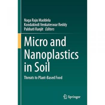 Micro and Nanoplastics in Soil