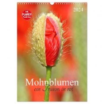 Mohnblumen-ein Traum in rot (Wandkalender 2024 DIN A3 hoch) CALVENDO Monatskalender