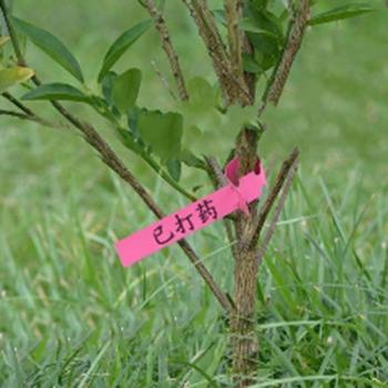 Décorations de jardin avec étiquettes en plastique