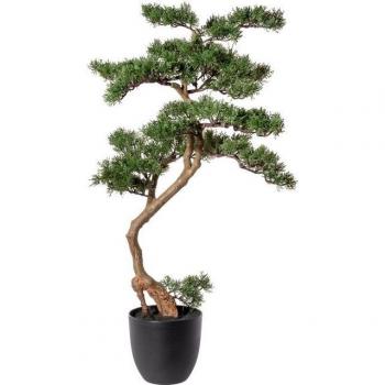 Bonsai Zeder Kunstbonsai von Creativ Green