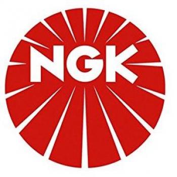 CHAMPION Bougie d'allumage Nickel GE