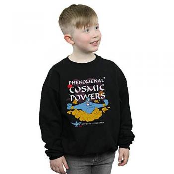 Boy’s Aladdin Fantasy Universe Sweater
