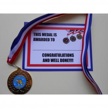 Prestige Award Medal with Ribbon – Top Tier Materials