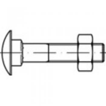 M6 16 mm Flachrundschraube (Vierkant) TOOLCRAFT TO-5448267 – DIN 603, Messing, 100‑Pack