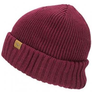 SealSkinz Waterproof Cold Weather Beanie