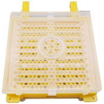 Beekeeping Tool