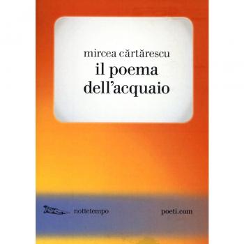 Il poema dell'acquaio