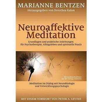 Neuroaffektive Meditation: Grundlagen und praktische Anleitungen für Psychotherapie, Alltagsleben und spirituelle Praxis