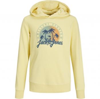 Sudadera con capucha JJSUMMER SMU VIBE para niño de Jack & Jones