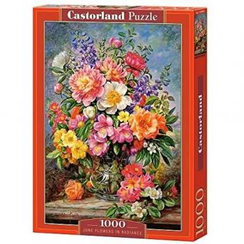 Puzzle de Pintura de Flores, Castorland 1000 Piezas