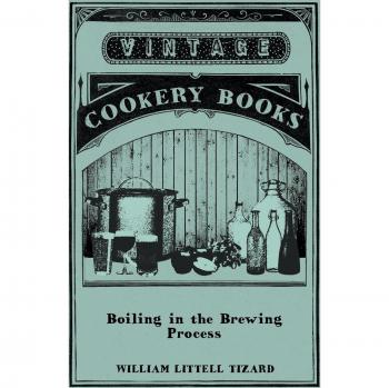 Boiling in the Brewing Process