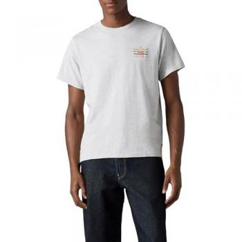 Levi's Relaxed Graphic Tee Colorata