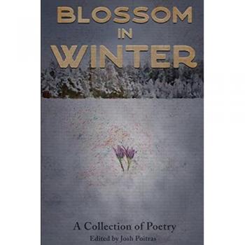 Blossom In Winter