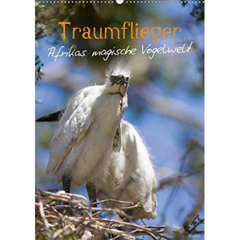 Traumflieger