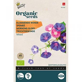 Buzzy Morning Glory Mixed Seeds
