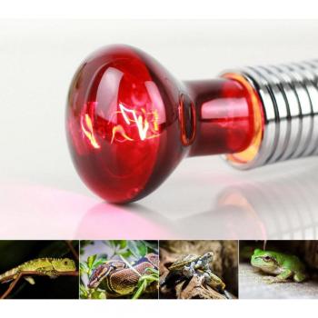 Kuulee 60W E27 R63 Infrared Pet Heating Light