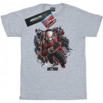 Marvel Men's Ant-Man Ants Velocity Tee – White, Medium