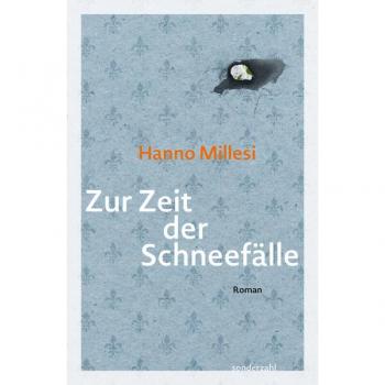 Millesi, Hanno: Zur Zeit der Schneefälle