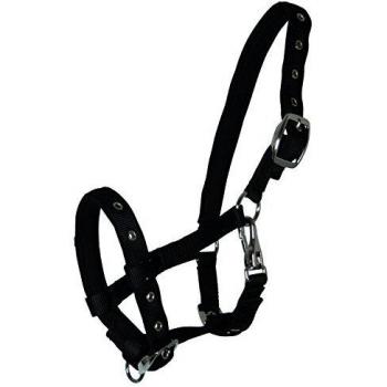 Waldhausen Black Foal Halter – All‑Sizes Comfort