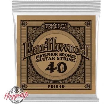 Ernie Ball Earthwood 80/20 Bronze Wound 040