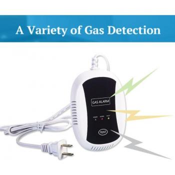 Coal Gas Leak Detector