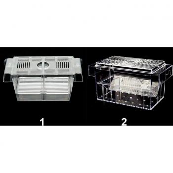 Caja Transparente de Cría Guppy