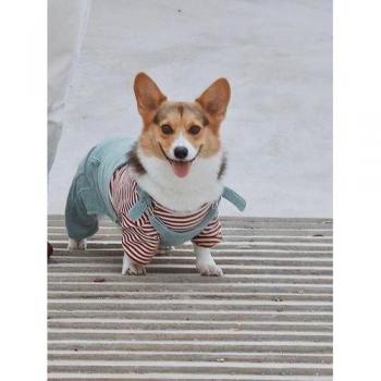 Traje de Abrigo para Perro GG50LT