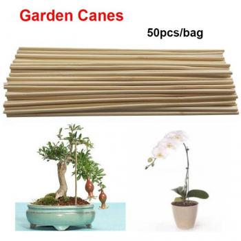 Estructura de Madera para Cultivo