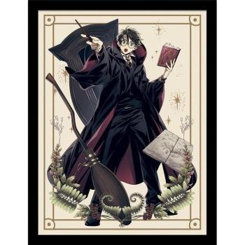 Harry Potter: Gerahmtes Poster „Zauberer-Dynastie Magie“ 40 cm x Schwarz