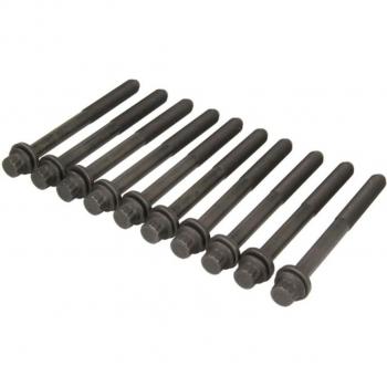 Viktor Reinz Gasket Bolt Kit 145504801