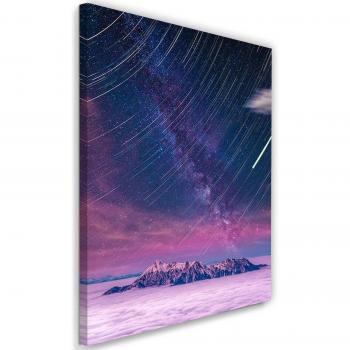 Pannello Notturno di Stelle Cadenti 40x60 Violet