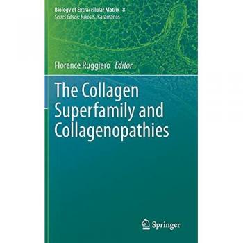 The Collagen Superfamily and Collagenopathies (Biology of Extracellular Matrix, 8, Band 8)