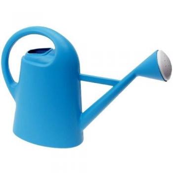 Arrosoir de Jardinage en Plastique 2L