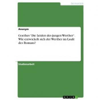 Goethes ¿Die Leiden des jungen Werther¿. Wie entwickelt sich der Werther im Laufe des Romans?