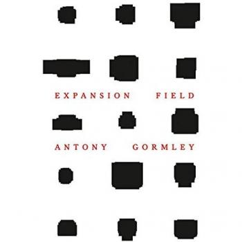 Antony Gormley: Expansion Field (Zeitgenössische Kunst) Peter Fischer