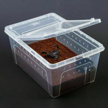Insect Breeding and Transport Box