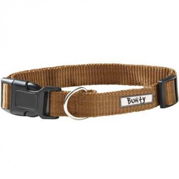 Puppy Collar with Buckle