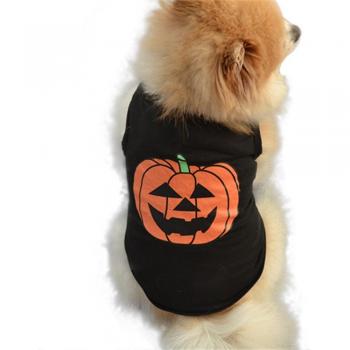 Camisole Citrouille pour Chiens